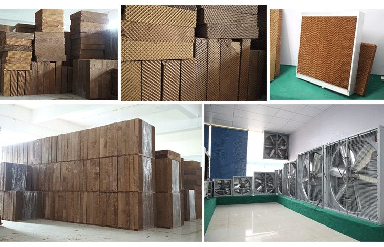 ��̩ˮ���L(f��ng)�C(j��)�}(c��ng)��(k��)һ��