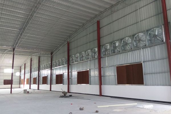 �FƤ������ˮ�����b