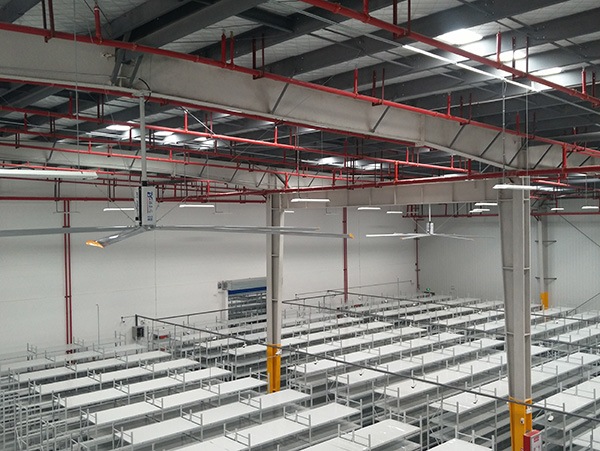 ���͹�(ji��)�ܵ���