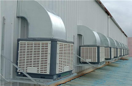 �FƤ�S�����ؽ�Q��������֪������