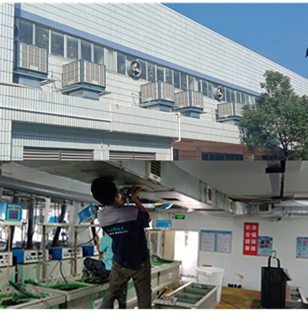 ���S܇�g����5�N���÷���